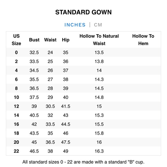 Anne Barge Lana Gown - Picture 8 of 8